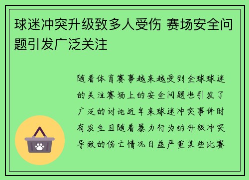 球迷冲突升级致多人受伤 赛场安全问题引发广泛关注