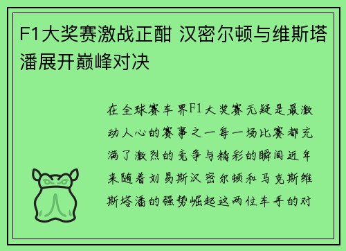 F1大奖赛激战正酣 汉密尔顿与维斯塔潘展开巅峰对决